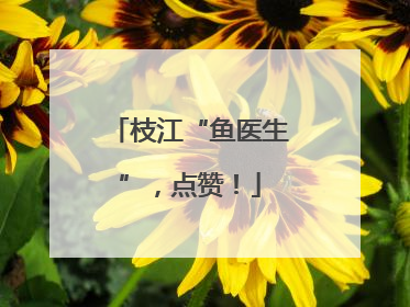 枝江“鱼医生”，点赞！