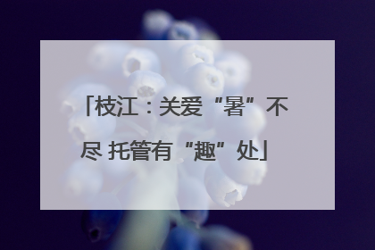 枝江：关爱“暑”不尽 托管有“趣”处