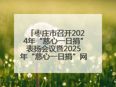 枣庄市召开2024年“慈心一日捐”表扬会议暨2025年“慈心一日捐”网络募捐动员会议