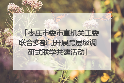 枣庄市委市直机关工委联合多部门开展跨层级调研式联学共建活动