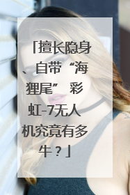 擅长隐身、自带“海狸尾” 彩虹-7无人机究竟有多牛？