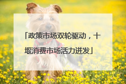政策市场双轮驱动，十堰消费市场活力迸发