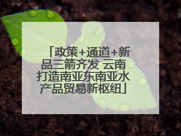 政策+通道+新品三箭齐发 云南打造南亚东南亚水产品贸易新枢纽