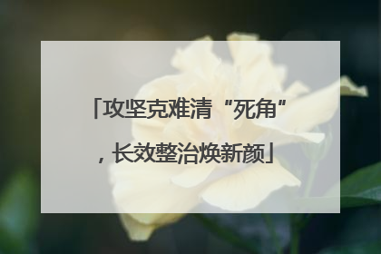 攻坚克难清“死角”，长效整治焕新颜