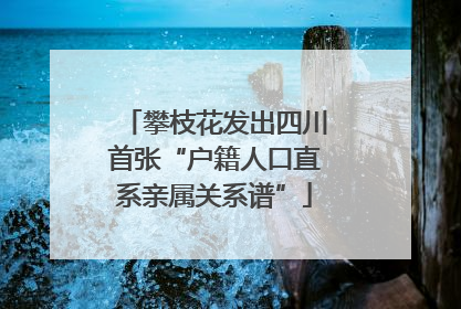 攀枝花发出四川首张“户籍人口直系亲属关系谱”