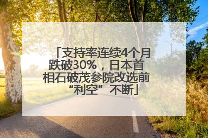支持率连续4个月跌破30%，日本首相石破茂参院改选前“利空”不断