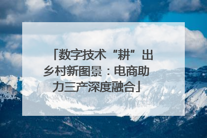 数字技术“耕”出乡村新图景：电商助力三产深度融合