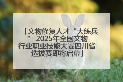 文物修复人才“大练兵” 2025年全国文物行业职业技能大赛四川省选拔赛即将启幕