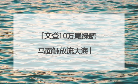 文登10万尾绿鳍马面鲀放流大海
