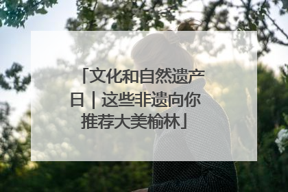 文化和自然遗产日｜这些非遗向你推荐大美榆林