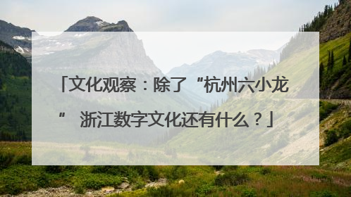 文化观察：除了“杭州六小龙” 浙江数字文化还有什么？