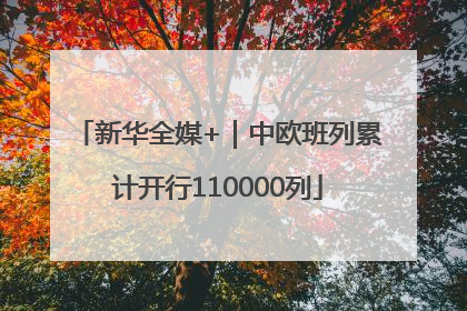 新华全媒+｜中欧班列累计开行110000列