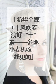 新华全媒+｜风吹麦浪好“丰”景——多地小麦机收一线见闻