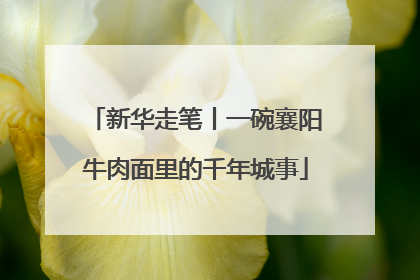 新华走笔丨一碗襄阳牛肉面里的千年城事