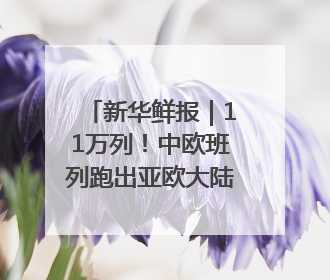 新华鲜报｜11万列！中欧班列跑出亚欧大陆“新时速”