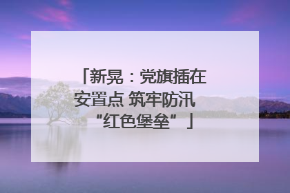 新晃：党旗插在安置点 筑牢防汛“红色堡垒”