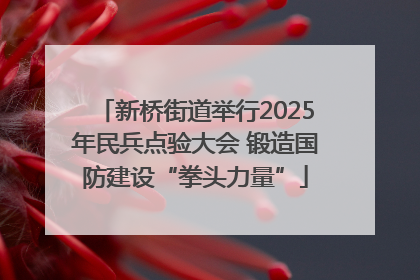 新桥街道举行2025年民兵点验大会 锻造国防建设“拳头力量”