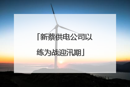 新蔡供电公司以练为战迎汛期