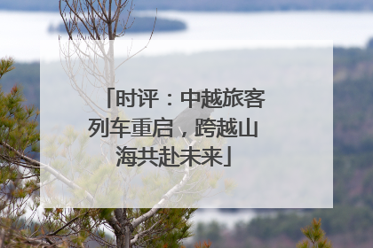 时评：中越旅客列车重启，跨越山海共赴未来