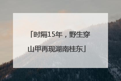 时隔15年，野生穿山甲再现湖南桂东