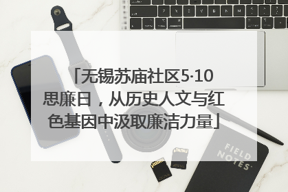 无锡苏庙社区5·10思廉日，从历史人文与红色基因中汲取廉洁力量