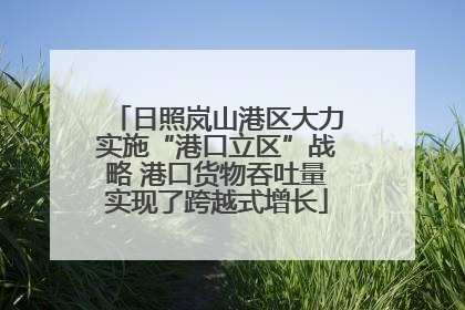 日照岚山港区大力实施“港口立区”战略 港口货物吞吐量实现了跨越式增长