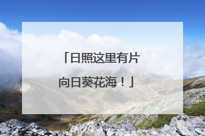 日照这里有片向日葵花海！