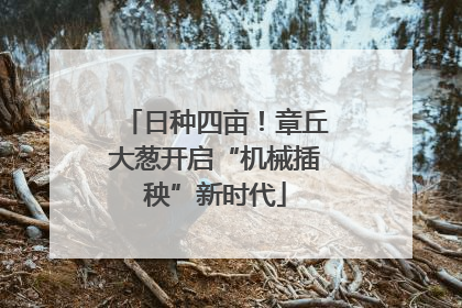 日种四亩！章丘大葱开启“机械插秧”新时代
