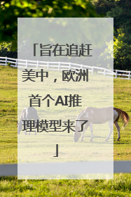 旨在追赶美中，欧洲首个AI推理模型来了