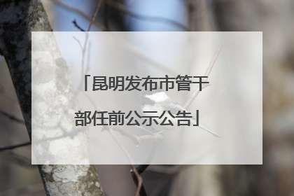 昆明发布市管干部任前公示公告