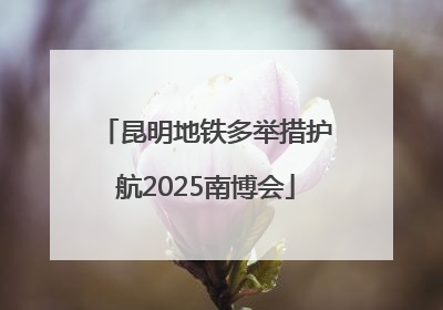 昆明地铁多举措护航2025南博会