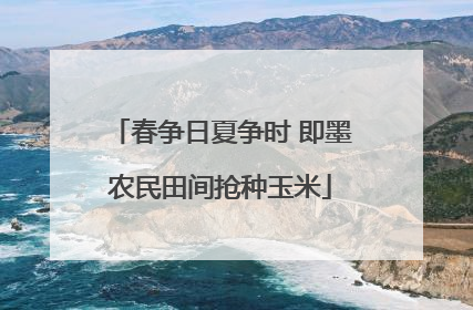 春争日夏争时 即墨农民田间抢种玉米