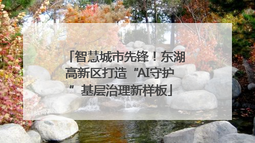 智慧城市先锋！东湖高新区打造“AI守护”基层治理新样板