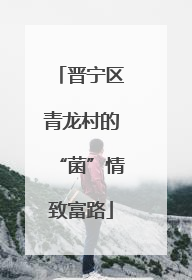 晋宁区青龙村的“菌”情致富路