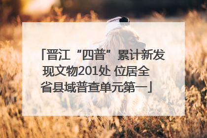 晋江“四普”累计新发现文物201处 位居全省县域普查单元第一