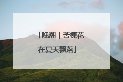 晚潮｜苦楝花在夏天飘落
