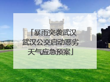 暴雨突袭武汉 武汉公交启动恶劣天气应急预案