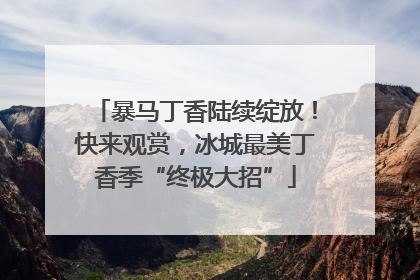 暴马丁香陆续绽放！快来观赏，冰城最美丁香季“终极大招”