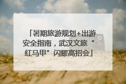暑期旅游规划+出游安全指南，武汉文旅“红马甲”闪耀高招会