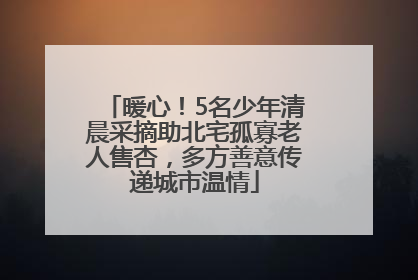 暖心！5名少年清晨采摘助北宅孤寡老人售杏，多方善意传递城市温情