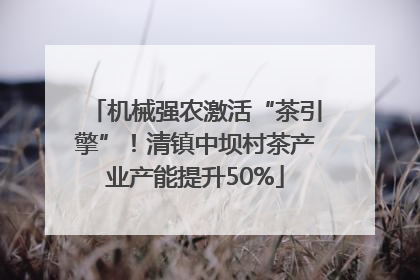 机械强农激活“茶引擎”！清镇中坝村茶产业产能提升50%