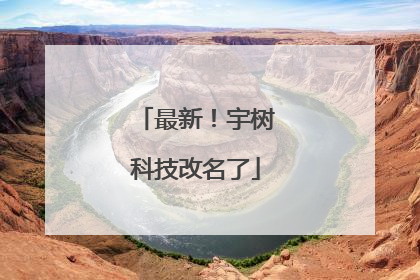 最新！宇树科技改名了