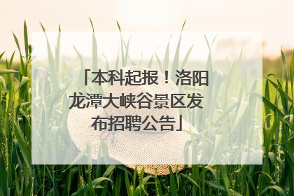 本科起报！洛阳龙潭大峡谷景区发布招聘公告