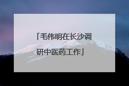 毛伟明在长沙调研中医药工作