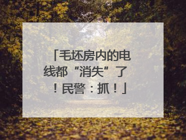 毛坯房内的电线都“消失”了！民警：抓！