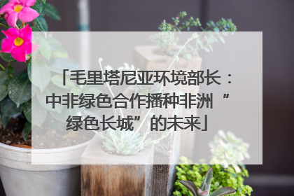 毛里塔尼亚环境部长：中非绿色合作播种非洲“绿色长城”的未来