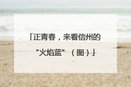 正青春，来看信州的“火焰蓝”（图）