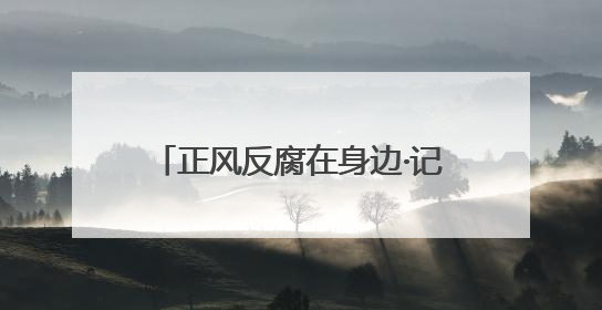 正风反腐在身边·记者百县行丨“双探头”守好“拨付路”