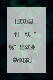 武功县：一针一线“绣”出就业新图景