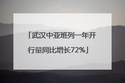 武汉中亚班列一年开行量同比增长72%